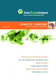 Domestic-Furniture-An-Ireland-Retail-Perspective.pdf-121738